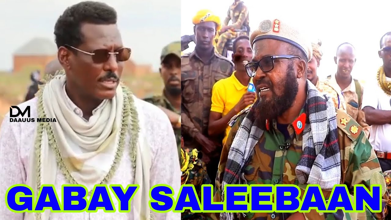 DAAWO: Gabay Awoodda Beesha Saleebaan & Dagaalka Ay Kula Jirto Alshabaab