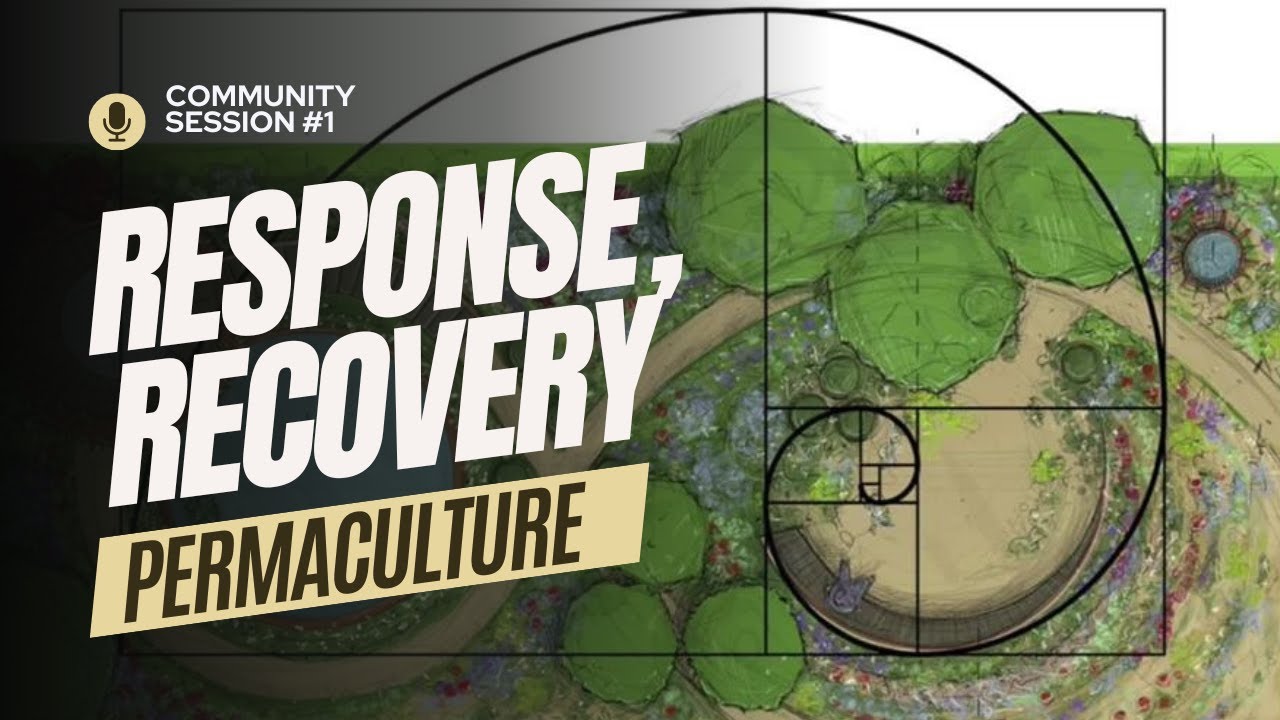 Turning Disasters Into Design: Permaculture Resilience Guides For Your Community
