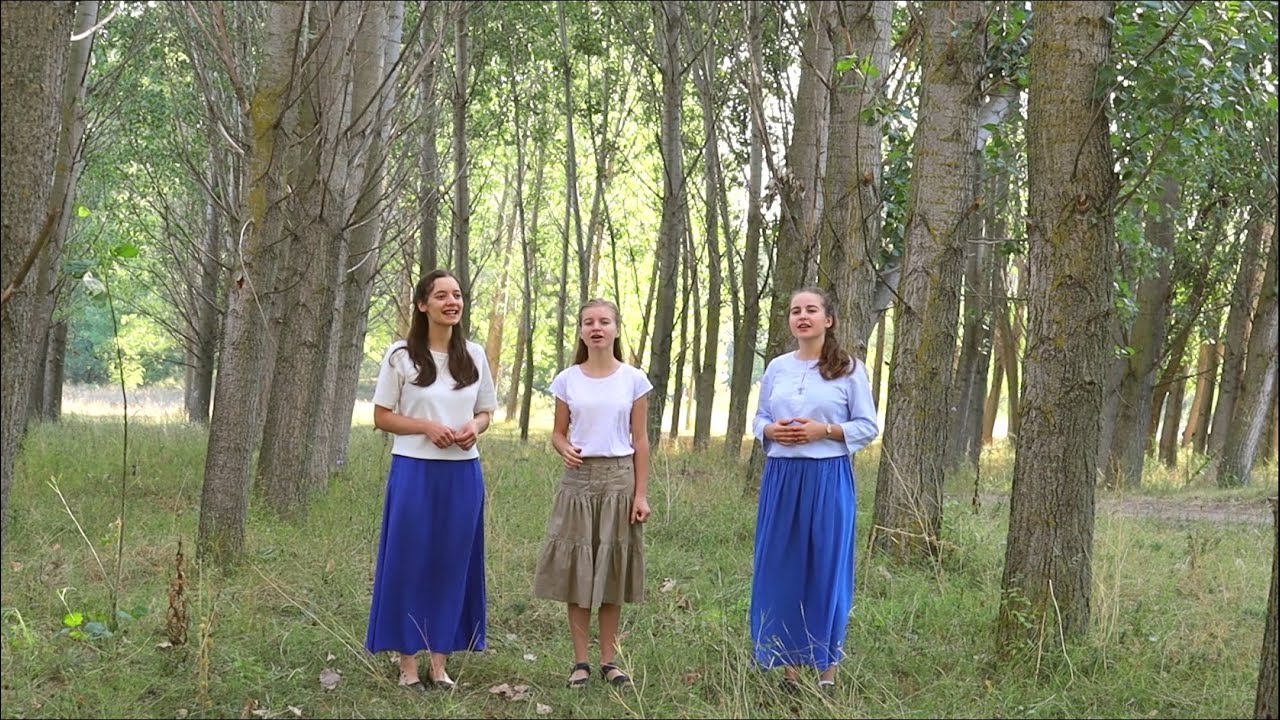 Ден след ден / Албум 