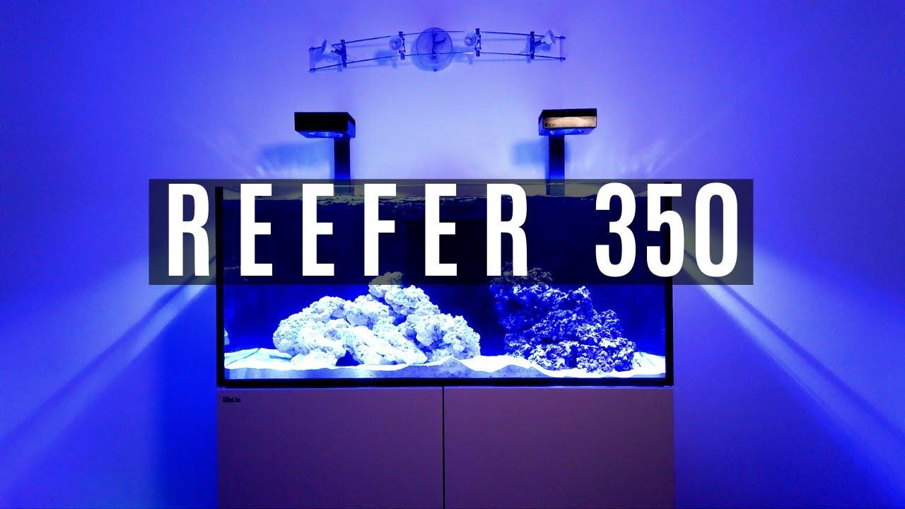 MON REEFER 350 !!-AQUAWORLD
