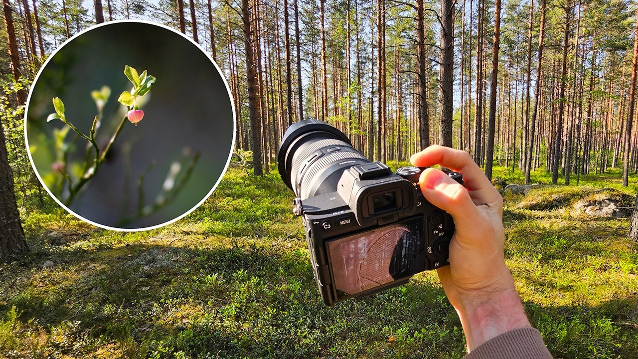 POV relaxing photography in the early summer forest