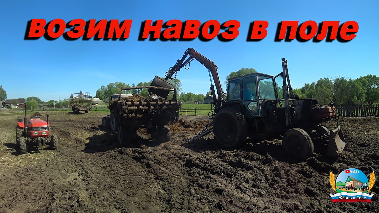 Вывозим навоз в поле под #картофель