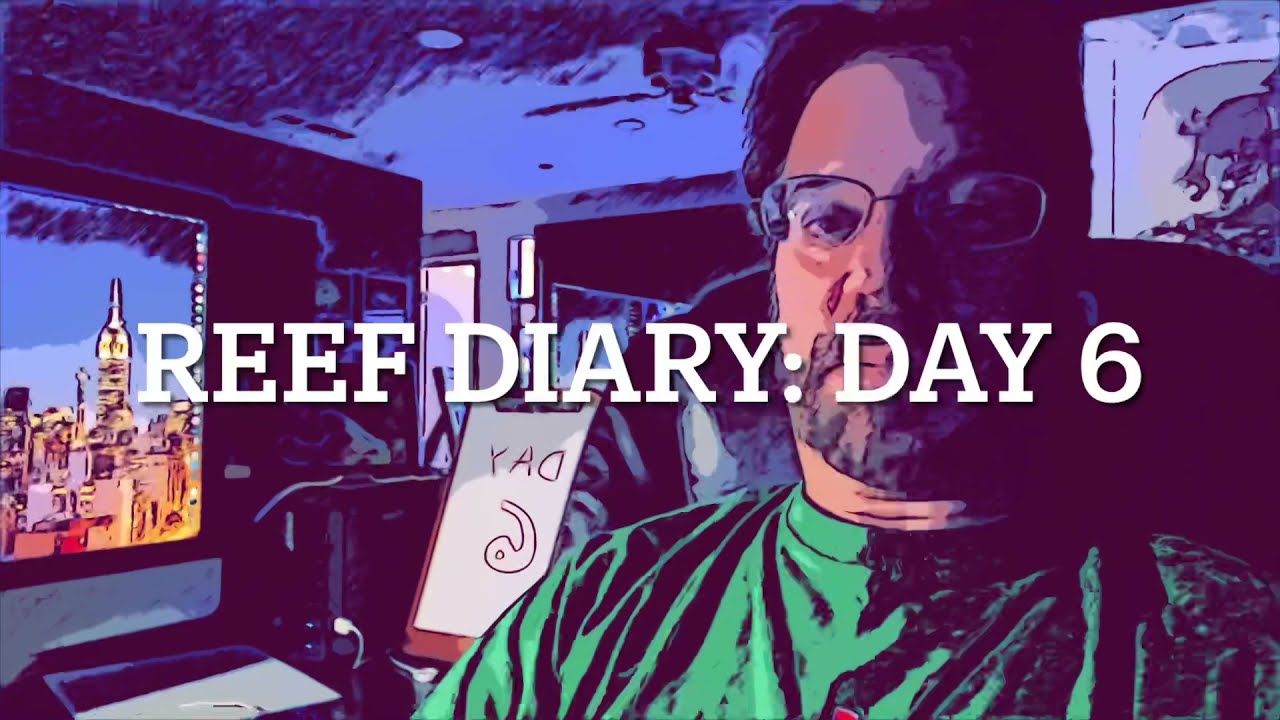 Reef Diary: Day 6