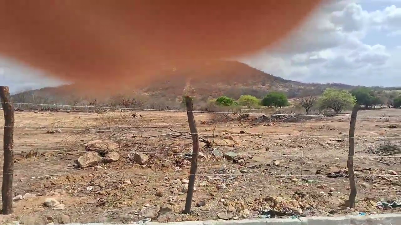 mato  grosso - 04 02 2026