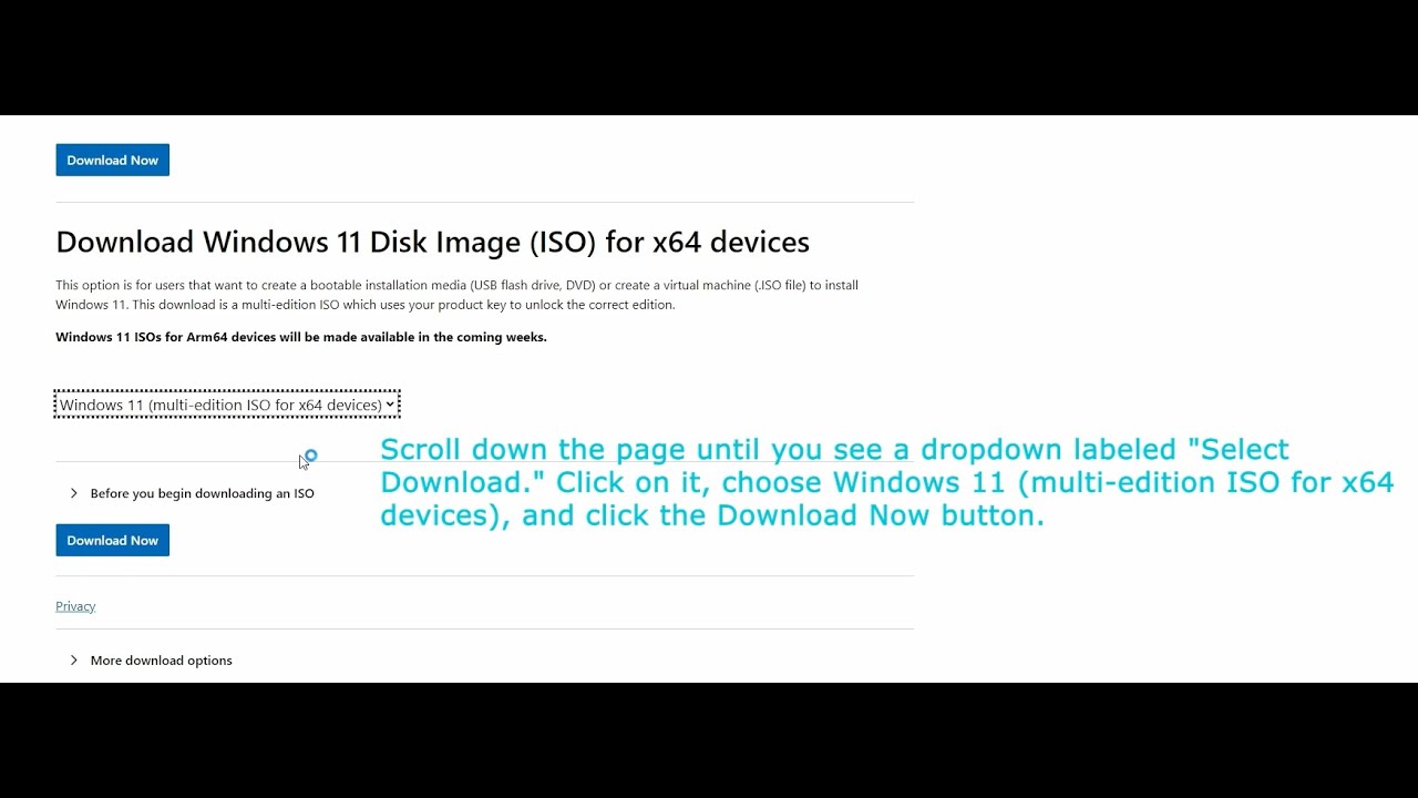 Make a Windows 11 Installation USB: A Step-by-Step Guide | Windows bootable flash drive