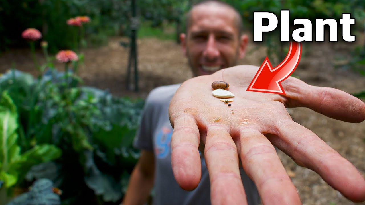 7 Crops You Can Still Plant In July!