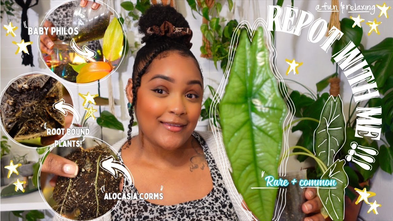 Let’s repot some plants!!🪴 | Prepping for the spring growing season 🌱 | PLANT CARE 🌼 💕 | + UPDATES |