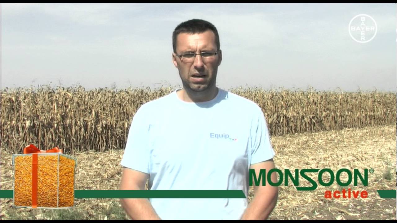 Tomislav Bačić, iskustvo posle upotrebe herbicida Monsoon active