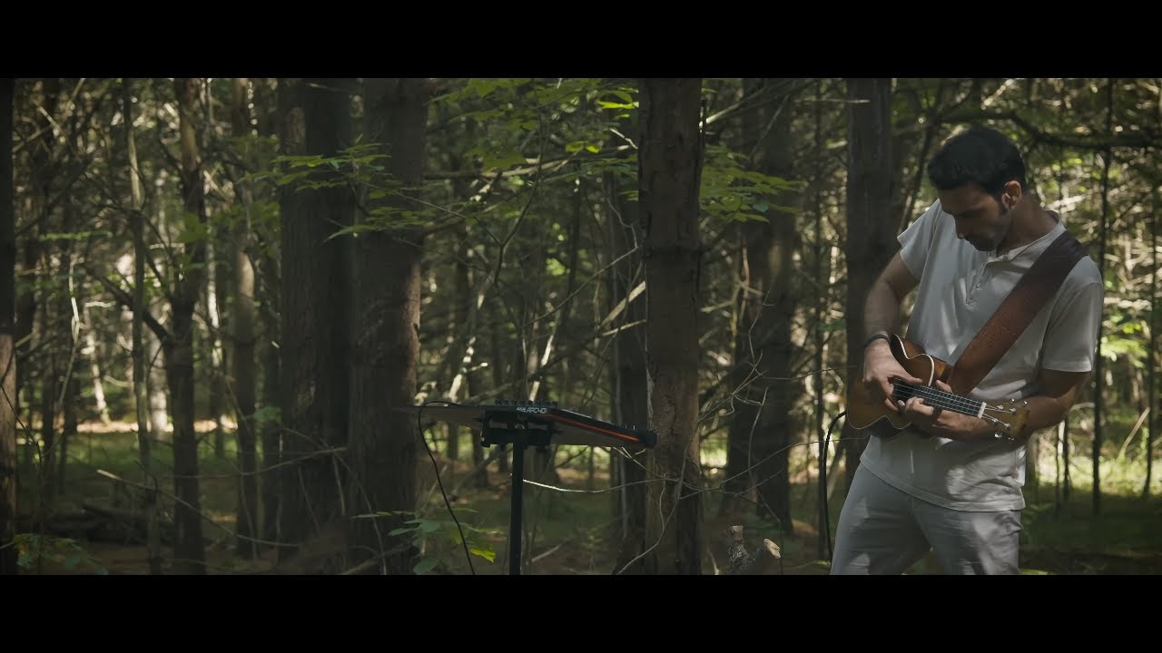 Sina Bathaie - Timeless  (Official Music Video)