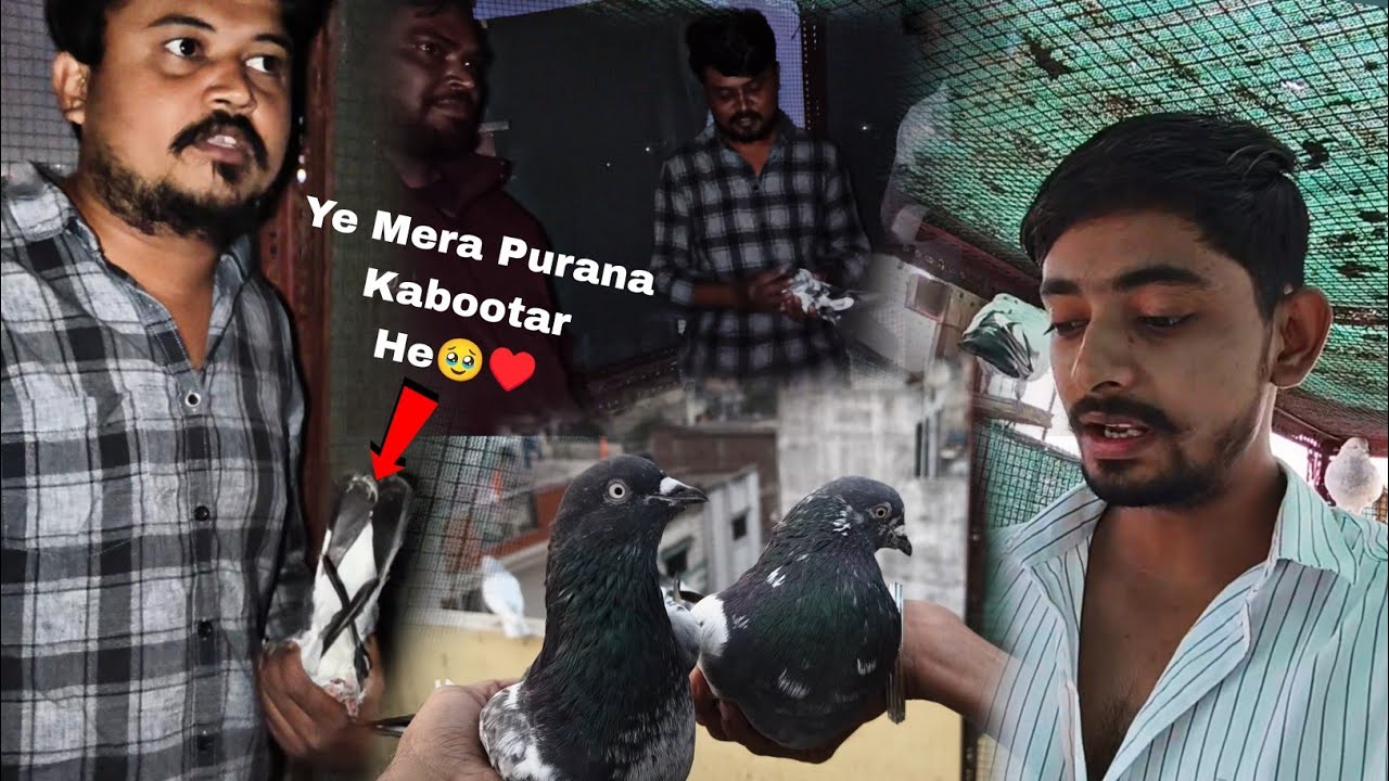 Chori K 🕊️ Return Kr Diya 🥰