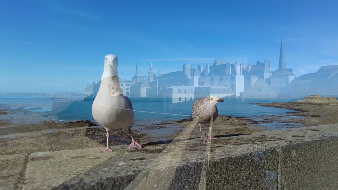 Drie prachtige plaatsen in Frankrijk.  Moncontour, Saint Malo,  en Le mont Saint Michel