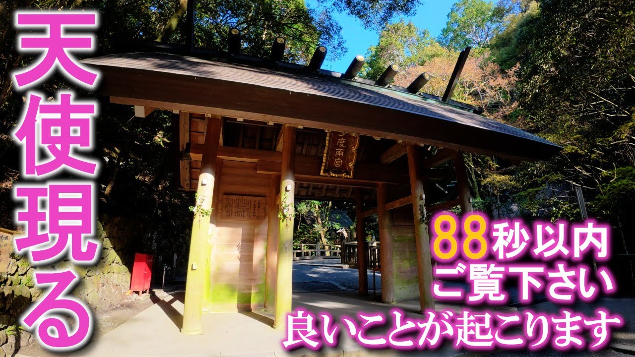 ⚠️神様や天使が降臨しました※もし逃したら二度とありません※お姿を見られた人は強運。次々と良いことが起こり始めます【一粒万倍日】｜多度大社遠隔参拝395
