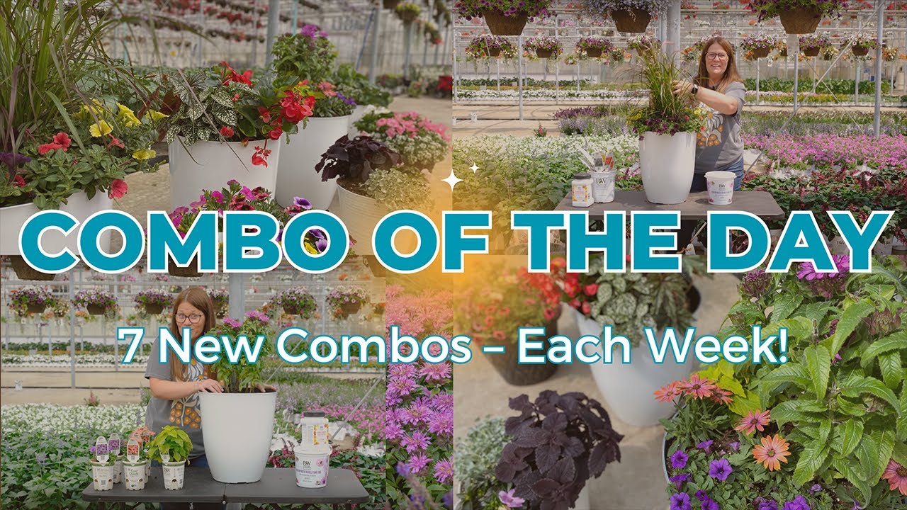 Proven Winners Direct Presents Combo Of The Day (June 19 - June 25)