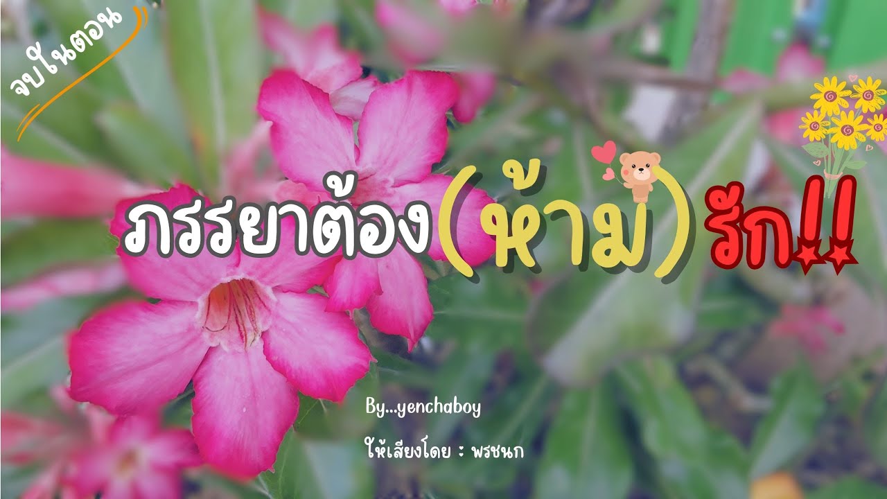 เรื่องสั้น... ภรรยาต้อง(ห้าม)รัก (จบ)