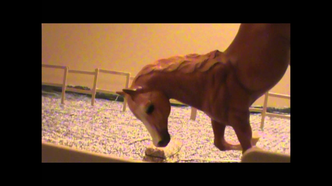 'Love at First Sight' - Part 1 (Breyer horse movie)