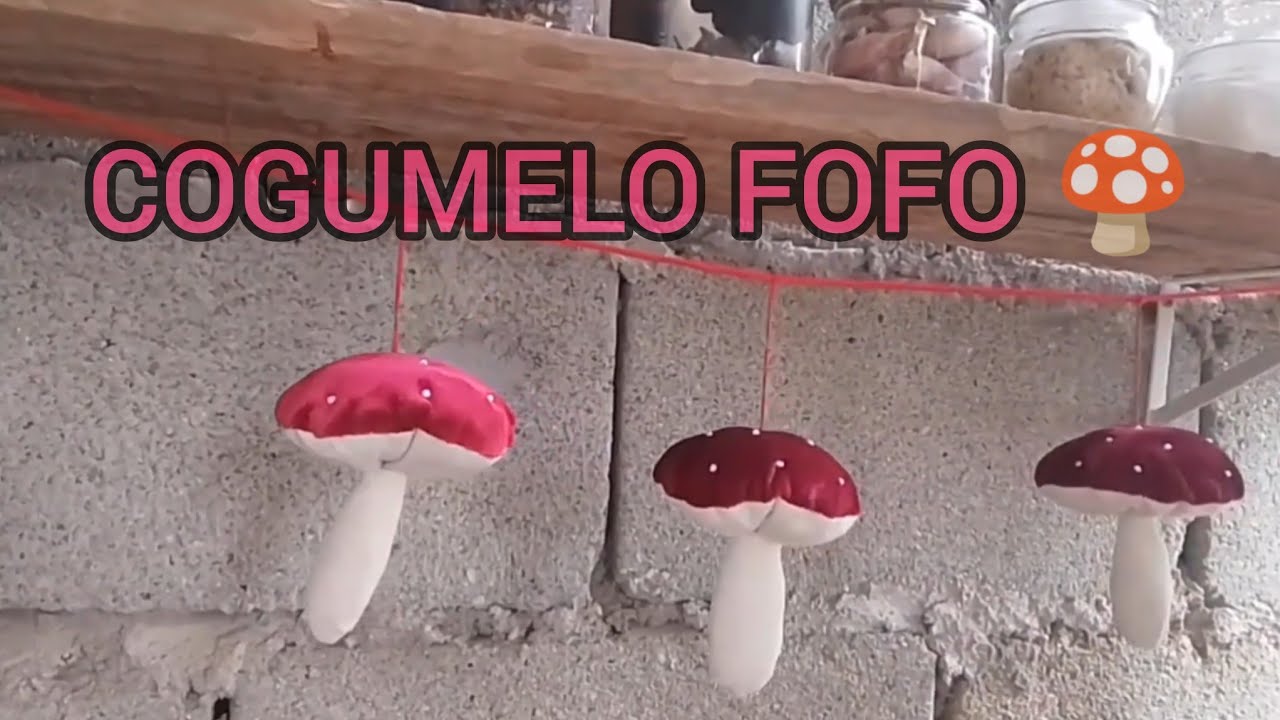 Fiz Cogumelos de tecido 🍄