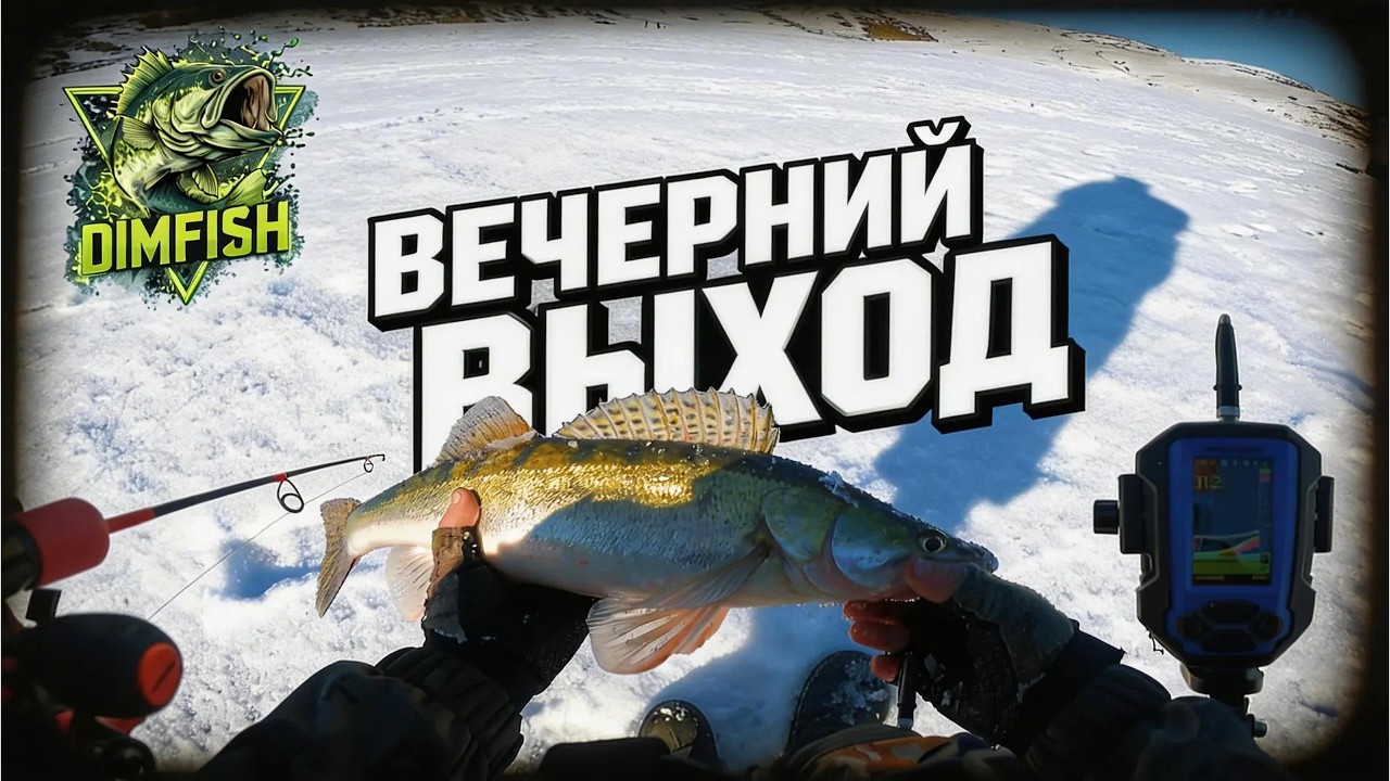 Ловля судака вечером: 4 поимки и трофей 1.810 кг — КОРОТКО, НО МОЩНО!