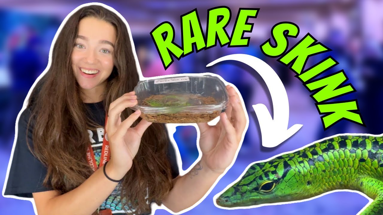 I Found The RAREST REPTILES at The NARBC Tinley Park Expo!
