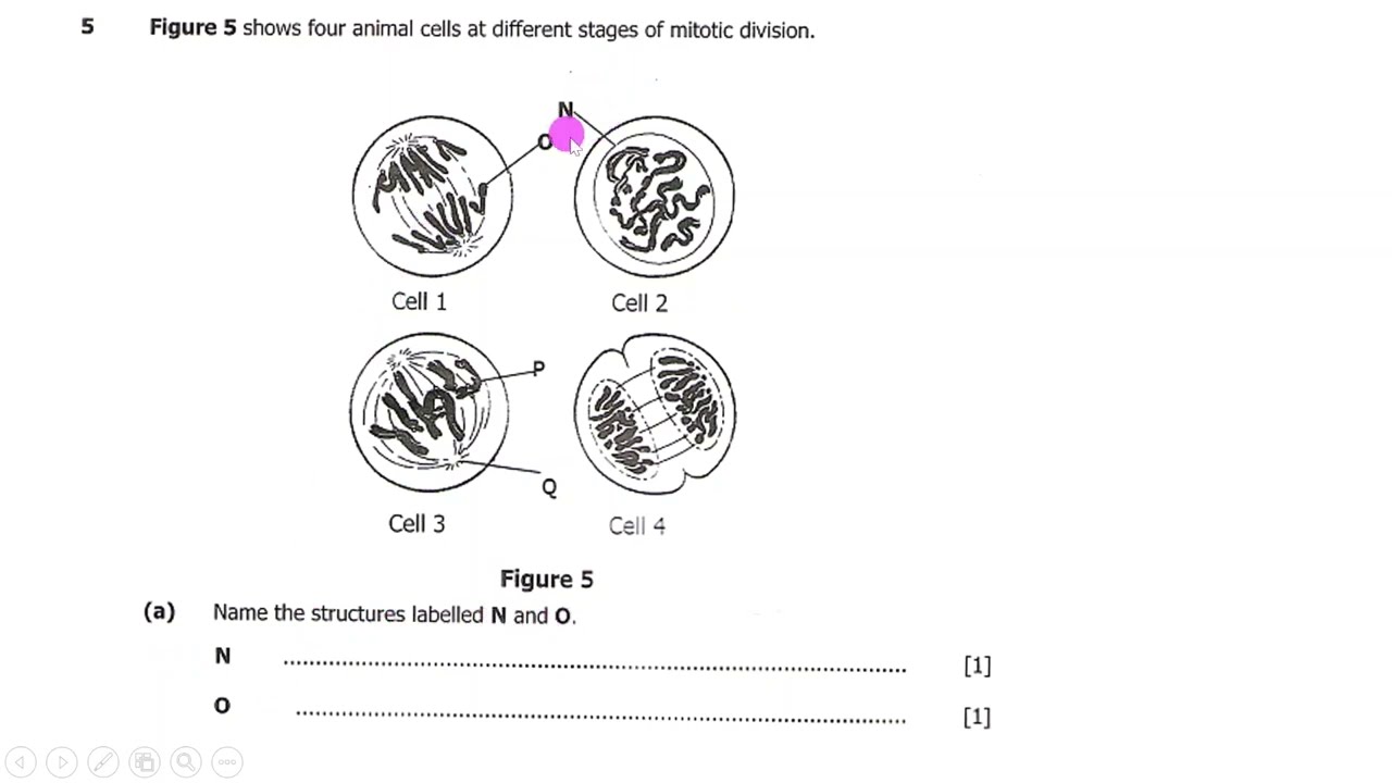 ECZ Biology paper 2 past paper revision 2021 school certificate