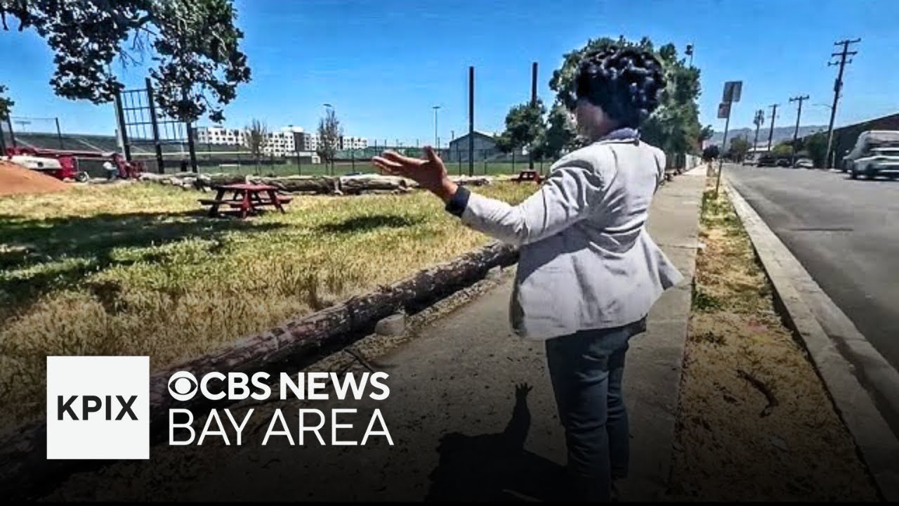 Renovation of ballpark for Oakland Ballers brings hope for rejuvenation to neighborhood