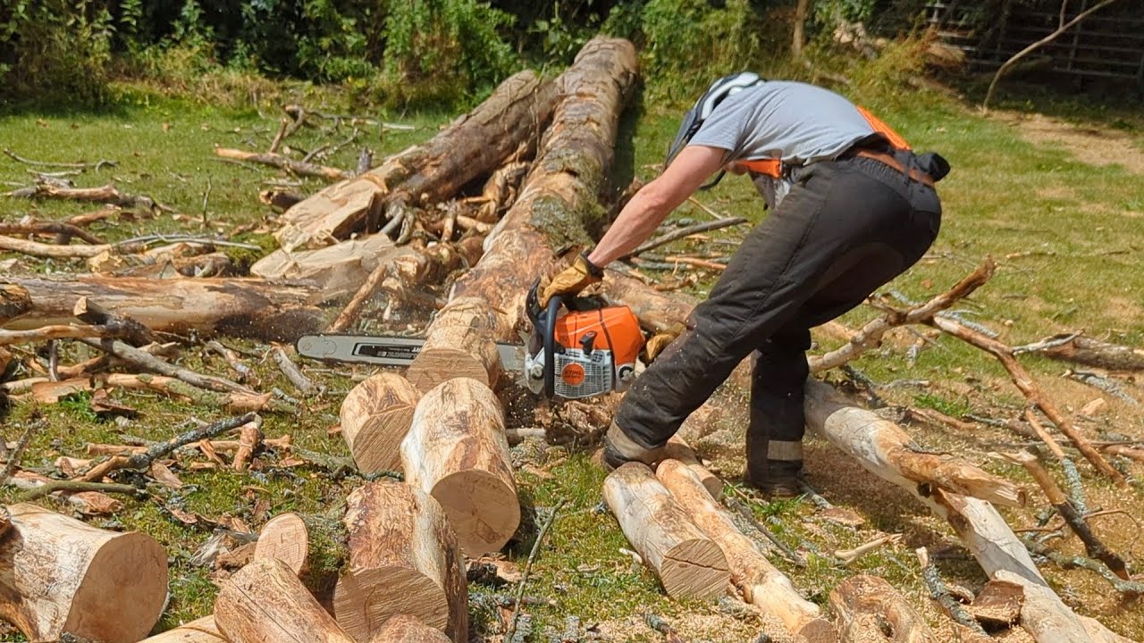 Out with the Pros! Stihl 462, 661 and husky 540i in action!