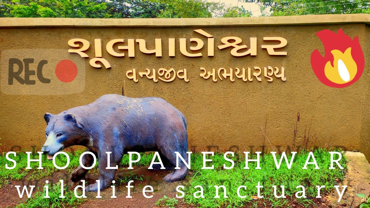 Shoolpaneshwar wildlife sanctuary /Shoolpaneshwar On wheel