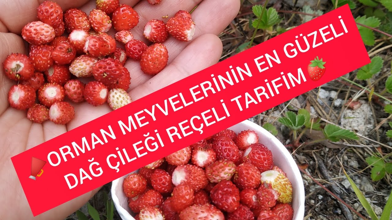 😍 DAĞ ÇİLEĞİ REÇELİ 🍓 YOK BÖYLE BİR AROMA 🍓
