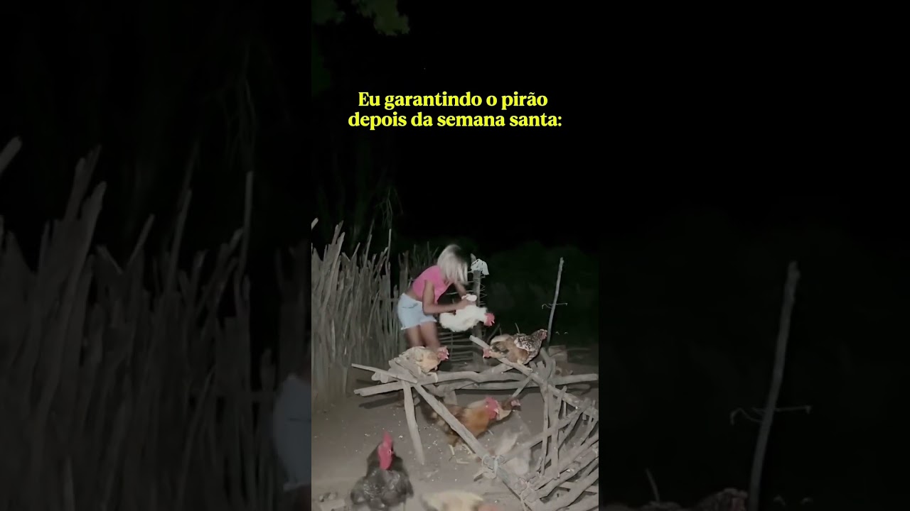 por essa o ladr&atilde;o de galinha n&atilde;o esperava 🤣🤣🤣🤣🤣🤣🤣🤣🤣🤣🤣🤣🤣🤣🤣🤣🤣