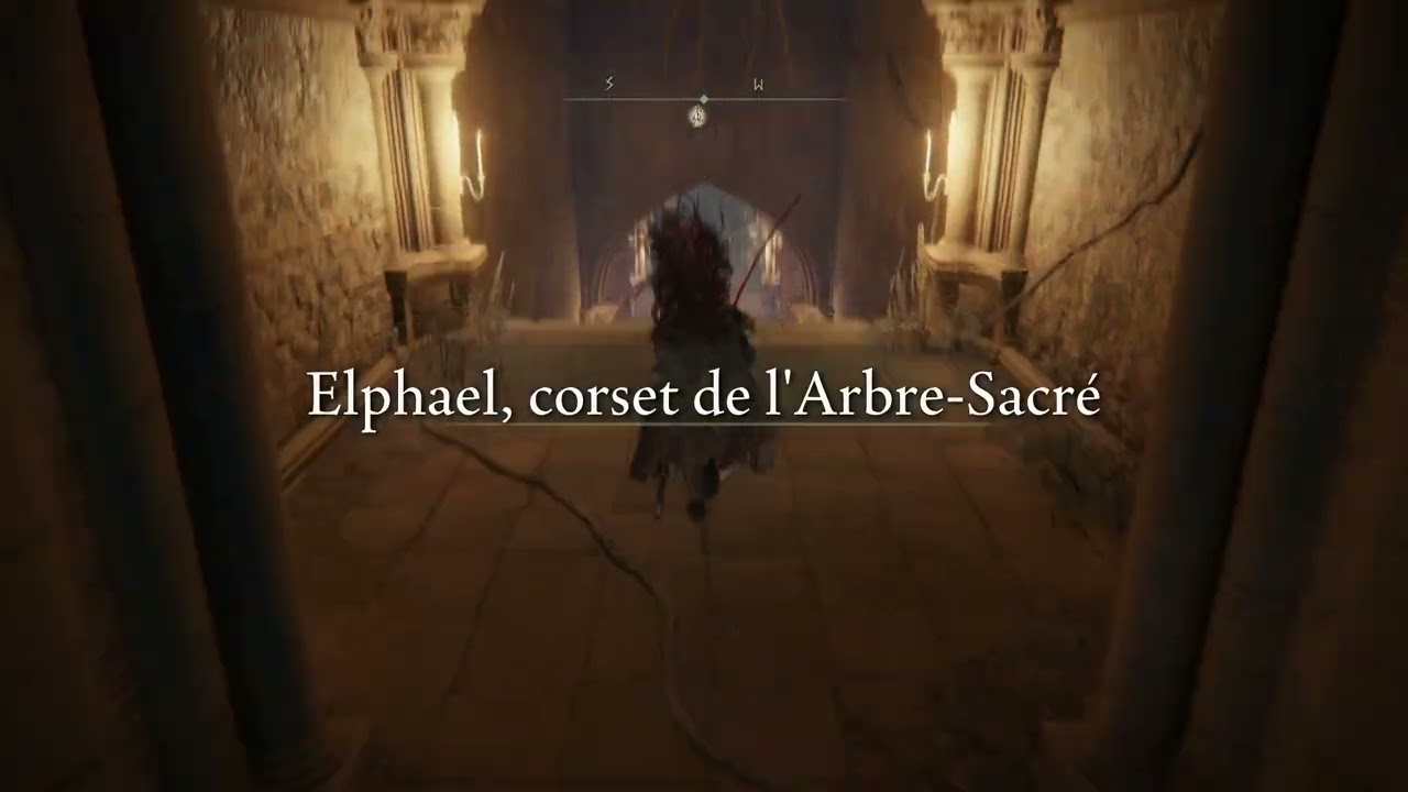 VOD - Juste une POV de moi qui meurt sur malenia // Elden ring