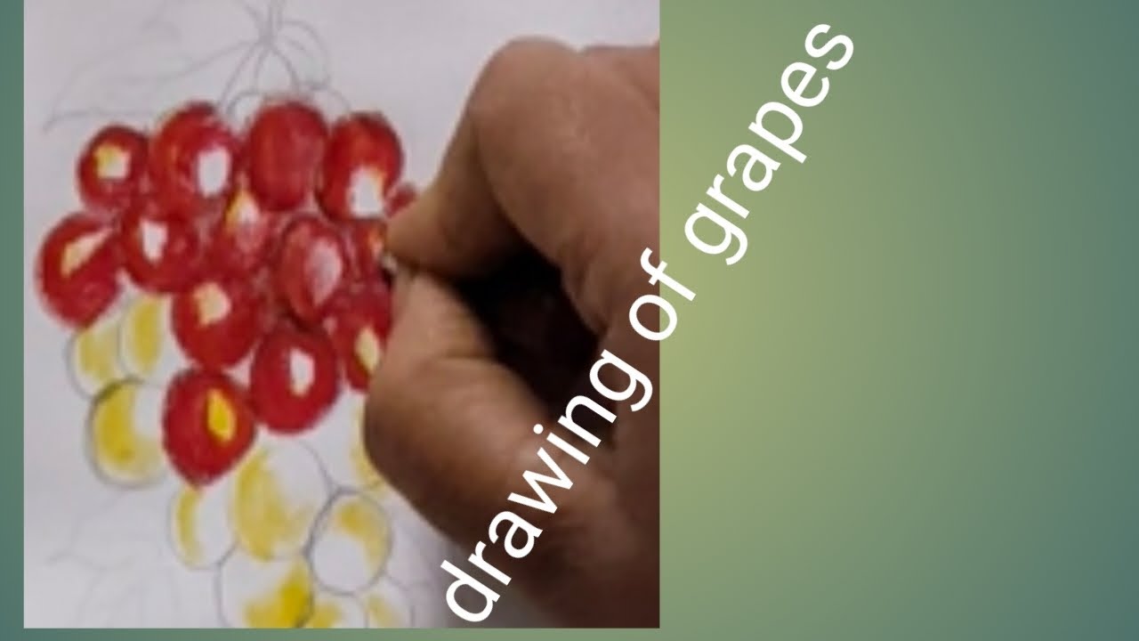 @Drawing of Grapes 🍇 | Easy Step-by-Step Fruit Drawing for Beginners