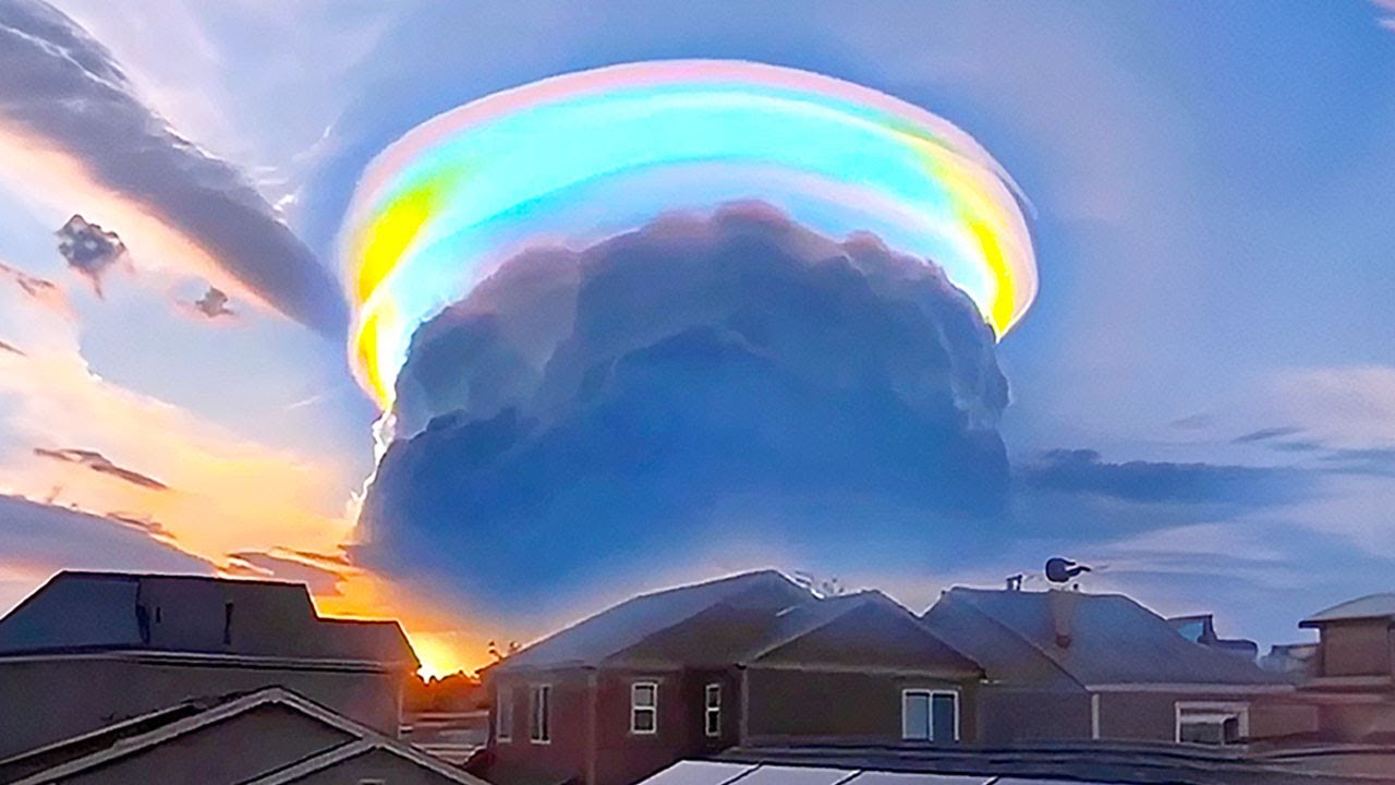 Один из миллиарда моментов в природе