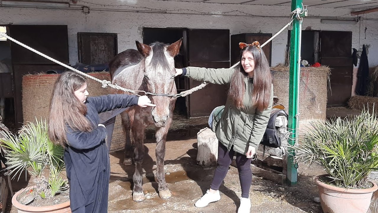 Vlog al maneggio per la festa di Carnevale 🐎🎊