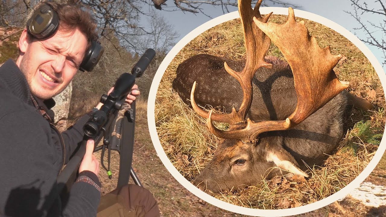 Pierre f&auml;ller en fantastisk skovel - Jakt &auml;r jakt smyger efter dovhjort i &Ouml;sterg&ouml;tland