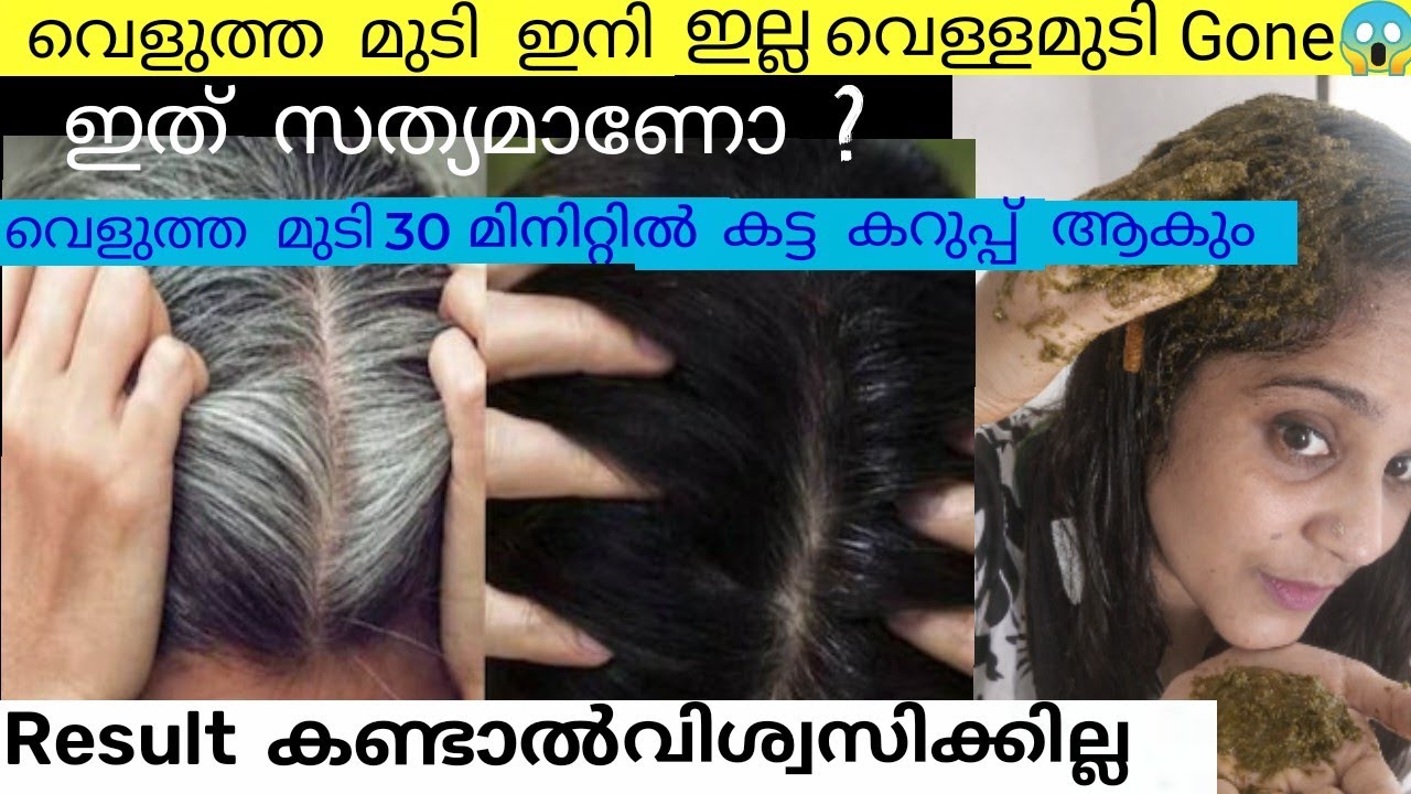 വെളുത്ത മുടി 30 മിനിറ്റിൽ കട്ട കറുപ്പ് ആകും|Easy Hair dye|Natural hair dye Malayalam #haircare 