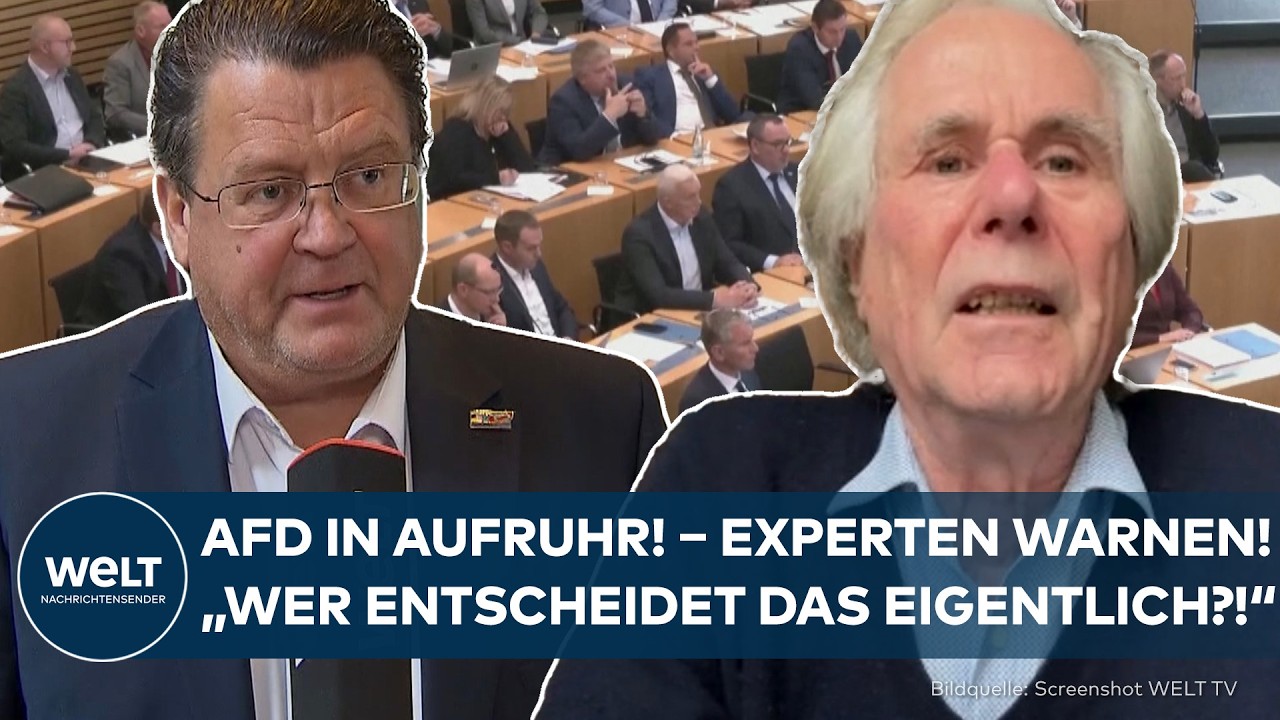 EXTREMISTEN-URTEIL IN TH&Uuml;RINGEN: AfD in Aufruhr &ndash; Experten warnen! 