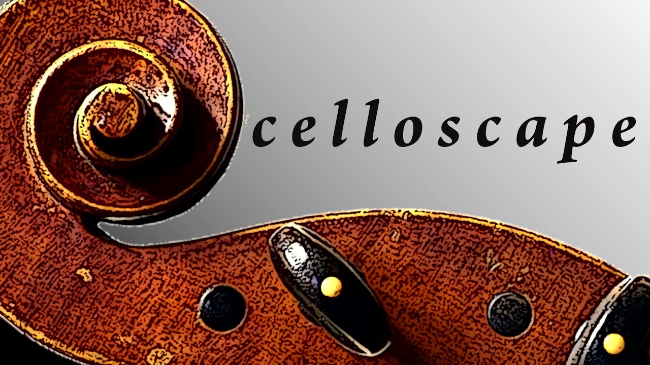 Dotzauer - 113 etudes for cello N. 36 Aurelio Bertucci