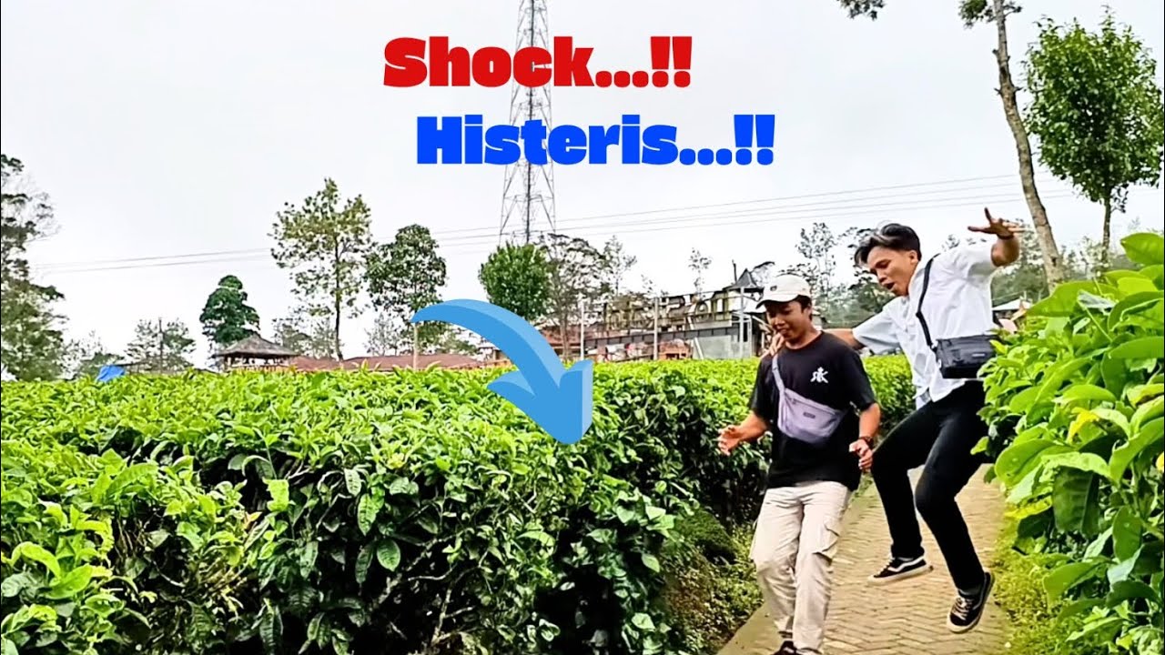 Si penunggu kebun teh ...!!! || Bushman prank jahil || Prank klocak ngakak