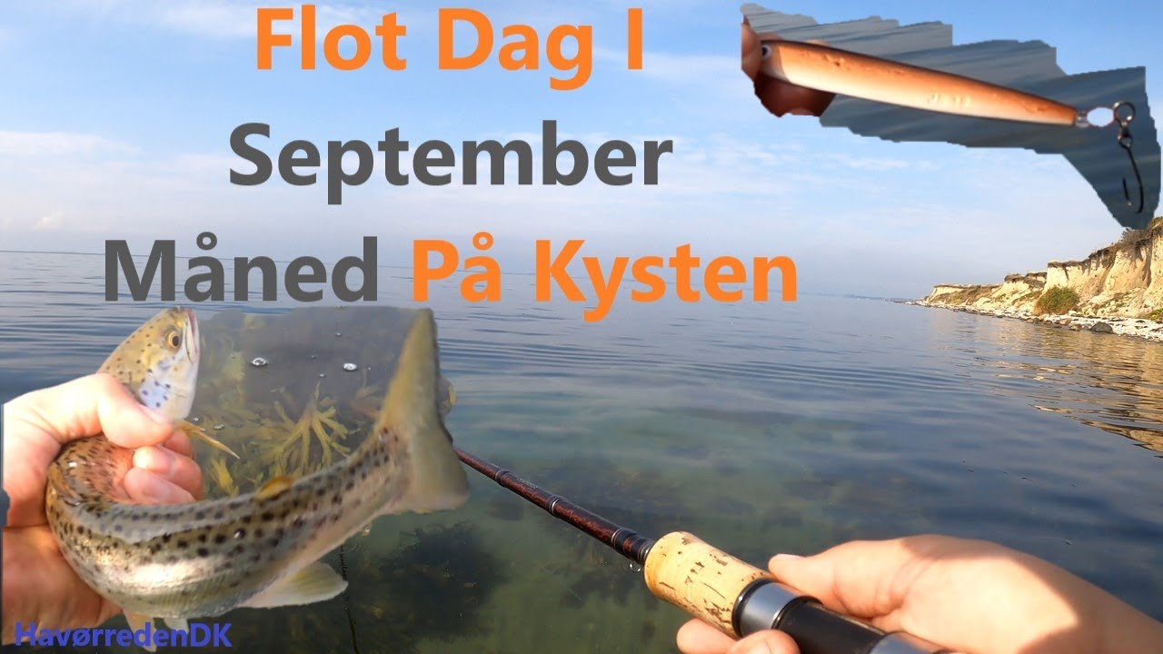 Flot Dag I September Måned På Kysten