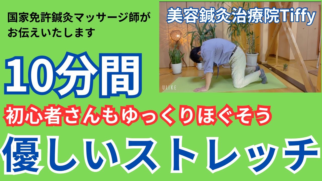 【ゆっくり10分】背中が辛い人のための優しい全身のストレッチ | 初心者OK #11