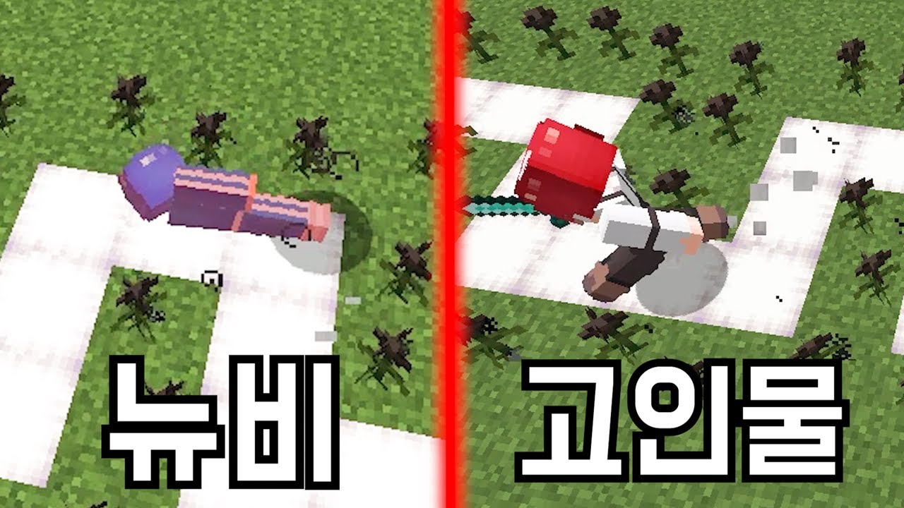 몇 년 해도, 마플 앞에선 뉴비임