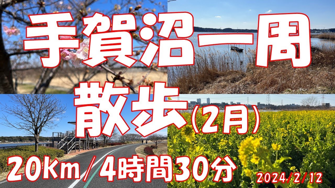 手賀沼一周散歩　2月