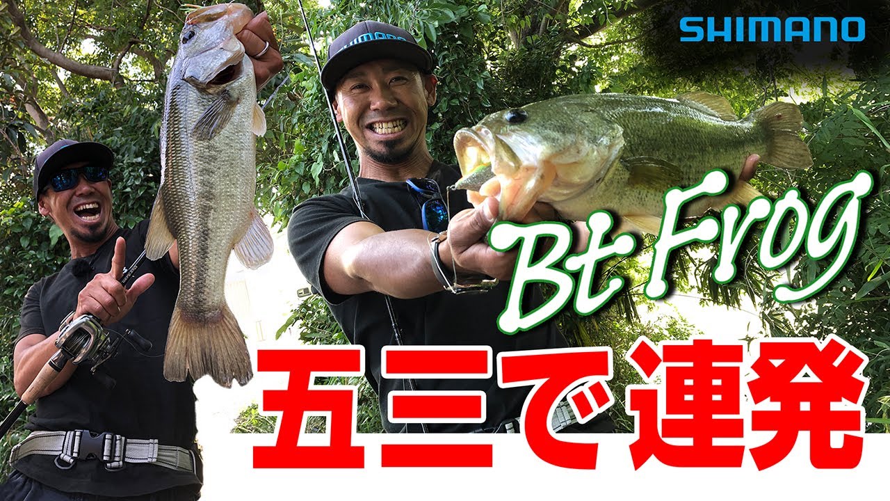 BANTAM Ch. 伊豫部健のBtフロッグ徹底解説