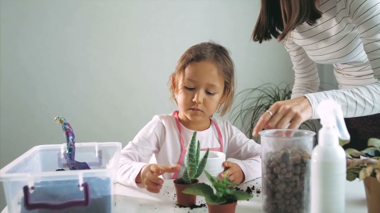 Dec Garden Prep – Indoor Starts, Winter Greens & Cold-Ready Planting ❄️🌱 