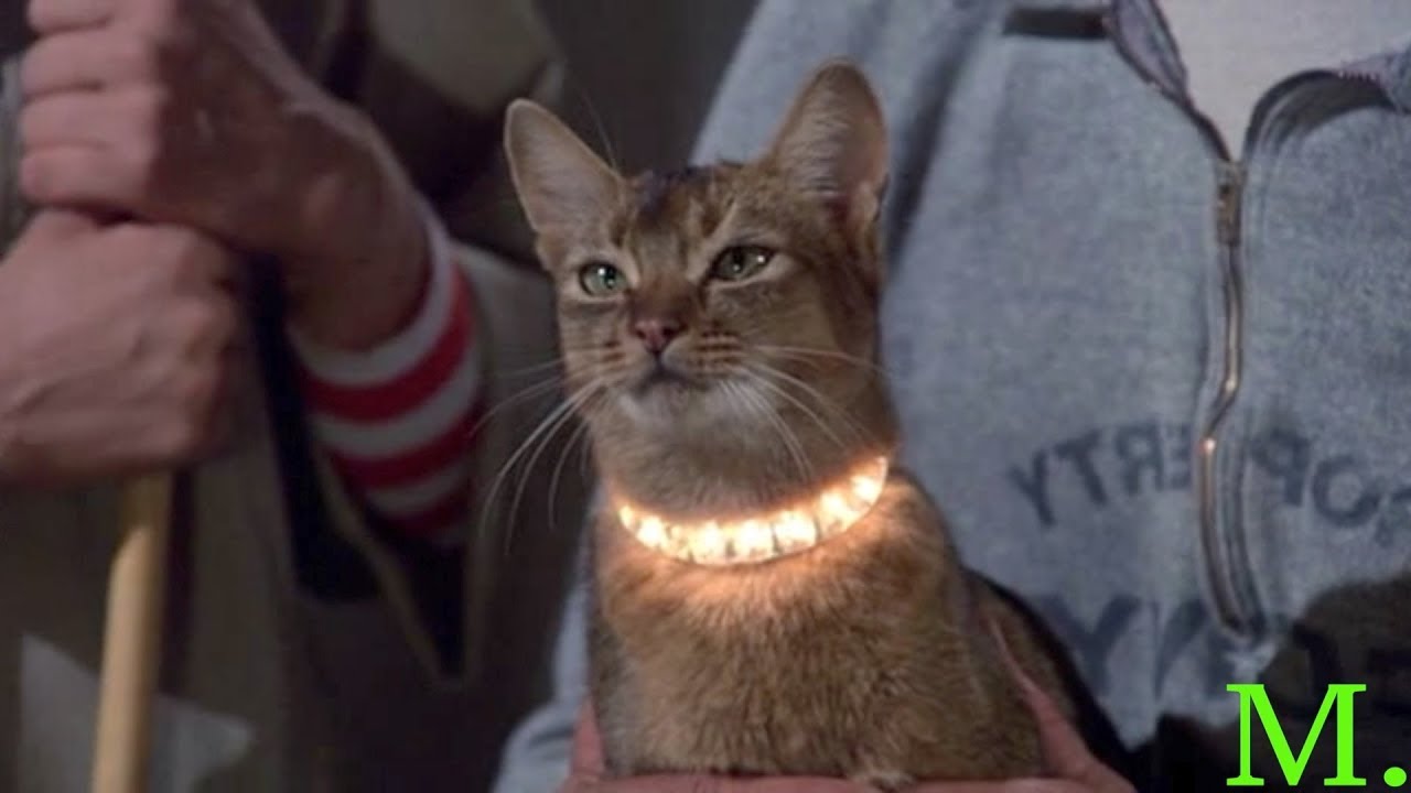 The CAT from OUTER SPACE (1978) Sandy Duncan Pool Table Trickshot Scene