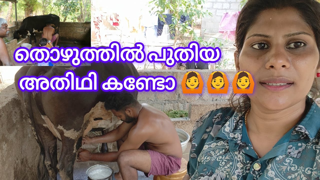 പശുന് പുതിയ അതിഥിയെ കിട്ടിട്ടുണ്ട് 🙏🙏🙏🙏🙆🙆🙆🙆🙆