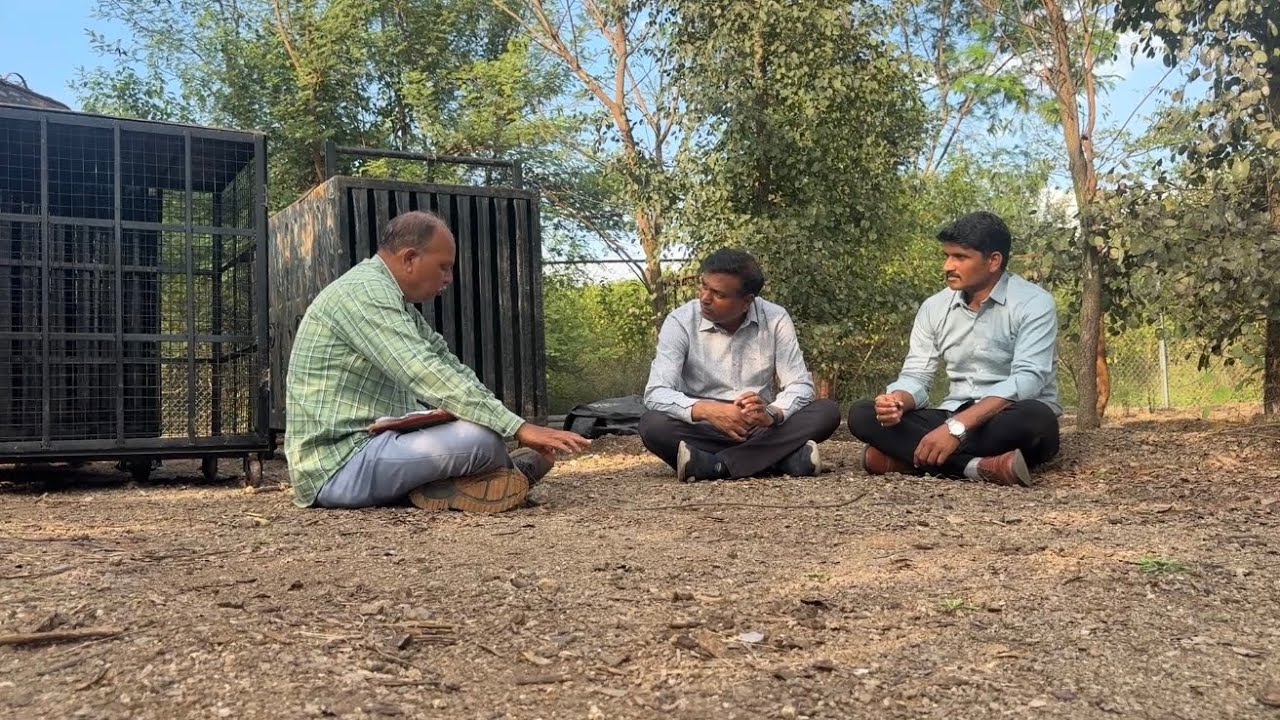 बिबट्यांची बाराखडी…मान कशी मोडतो, झाडावर कसा चढतो, खेकडे-उंदरी कसे खातो, दगड का चाटतो 