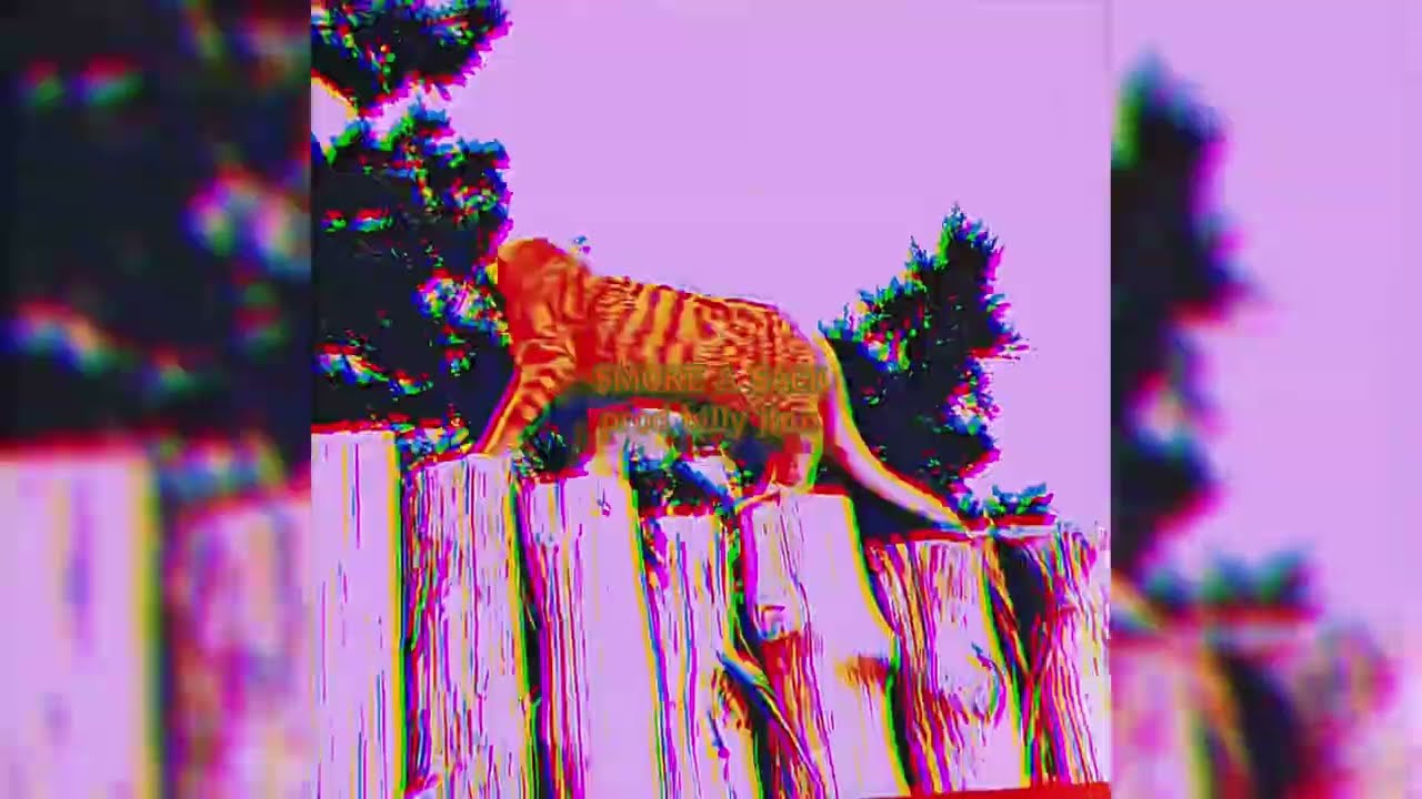 [FREE] $uicideboy$ x Bones Rare OG Phonk Type Beat – “SMOKE A SACK” | 2026