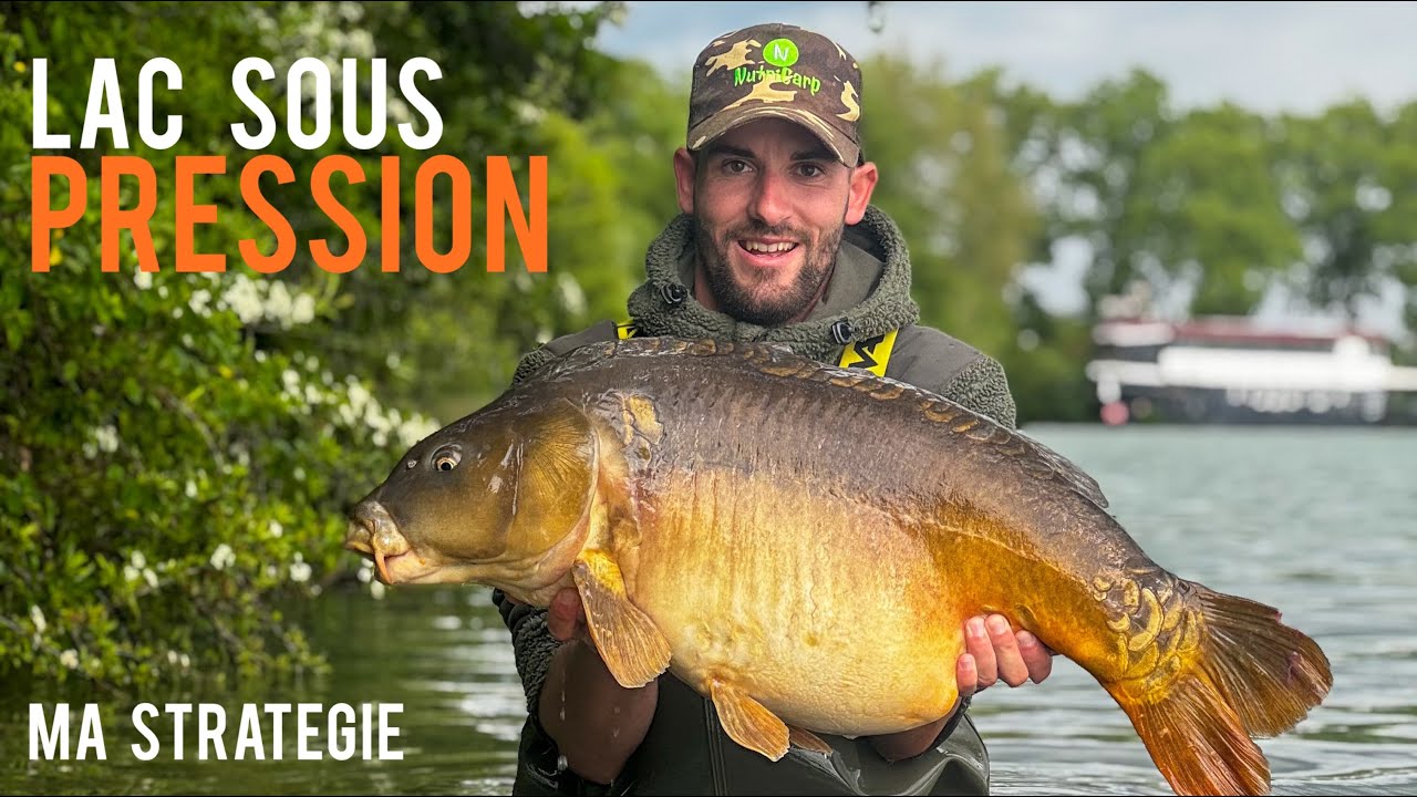 Lac sous pression, ma stratégie / pêche carpe  4K