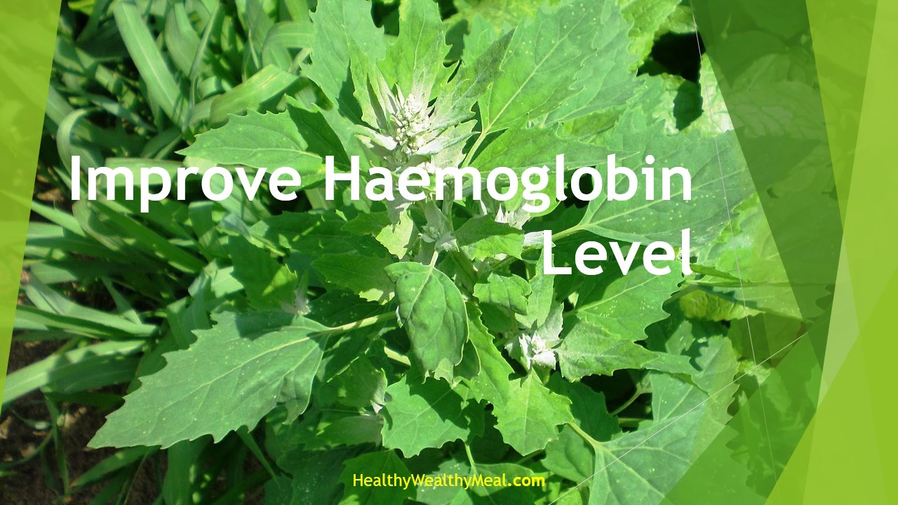 Top 10 Health Benefits of Chenopodium