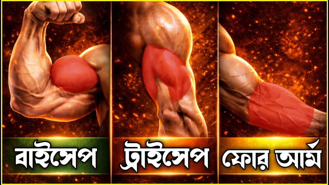 হাত চওড়া করার সেরা উপায় | বাড়িতে হাত শক্তিশালী করার উপায় | Forearm, Biceps, Triceps Workout